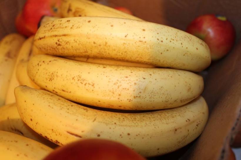 10641097_735112889858532_6733504897348992854_n