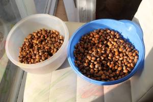 10647051_745514402151714_6607883047356648064_n