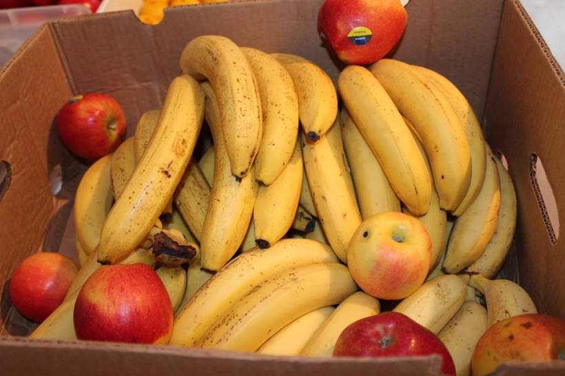 10670202_735112876525200_3313279237106112646_n