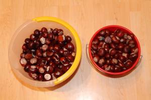 1655843_731991063504048_4846870995950589842_n