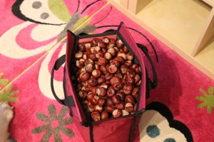 so sehen die fertig getrockneten Kastanien aus